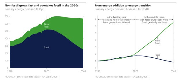 Image from the original Week 10 Environmental Economics course update