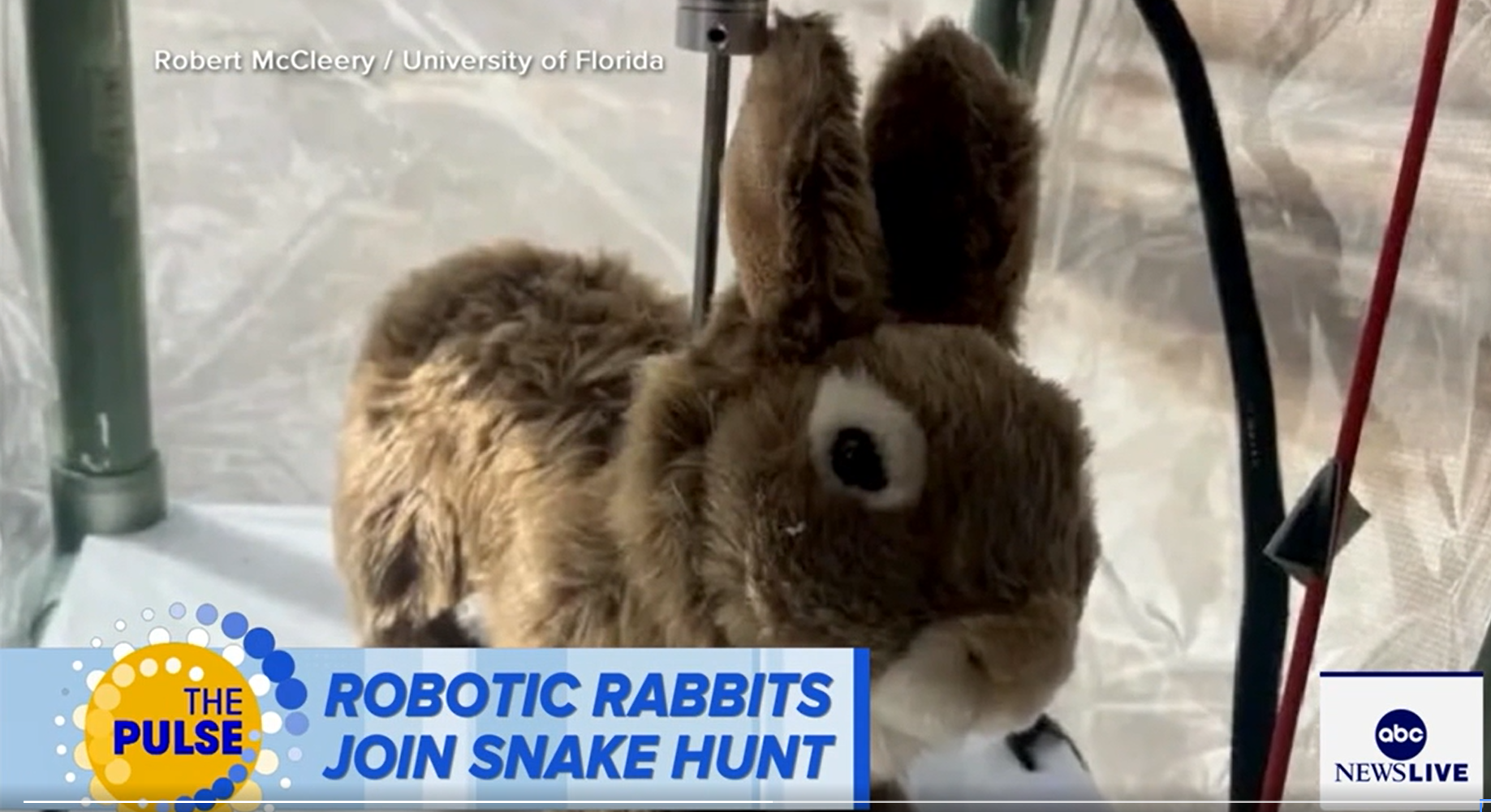 A stuffed animal rabbit with a pole AI-generated content may be incorrect.