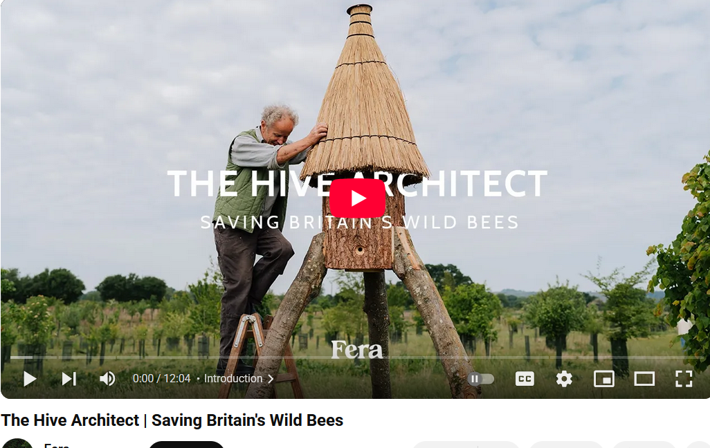 A person standing on a wooden structure AI-generated content may be incorrect.