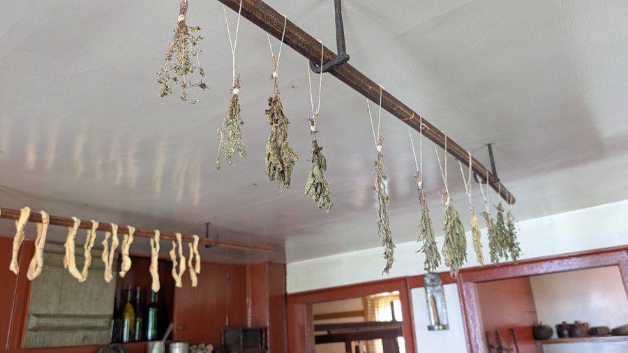 Herbs hanging from a ceiling rack