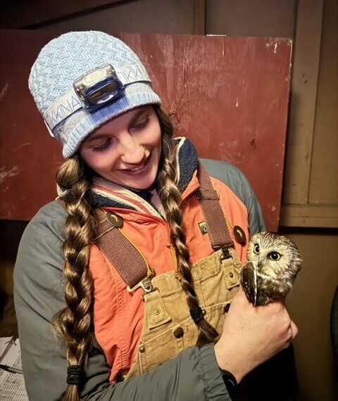 A person holding an owl AI-generated content may be incorrect.